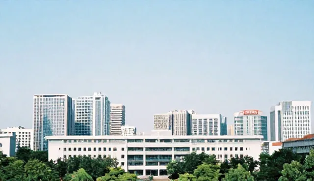 专业团队在合作关系中的常见问题与处理方法